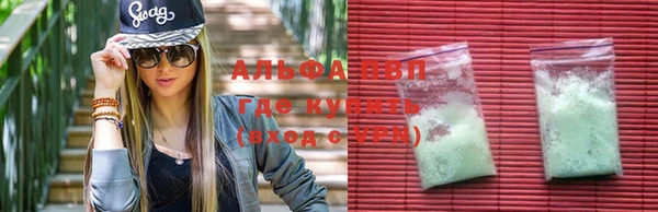 СК Богородицк