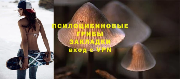 скорость Богданович