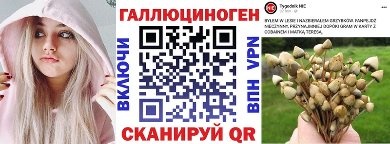 Галлюциногенные грибы Psilocybe  цена   Козловка 