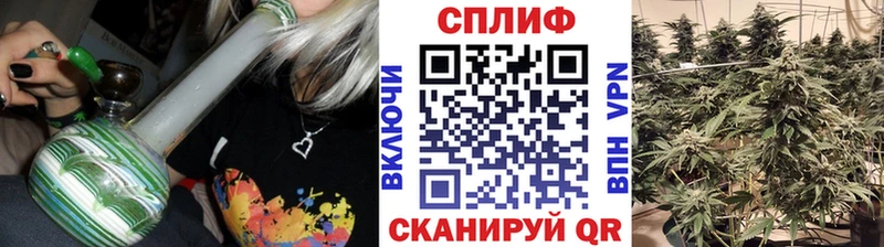 продажа наркотиков  Козловка  Шишки марихуана сатива 